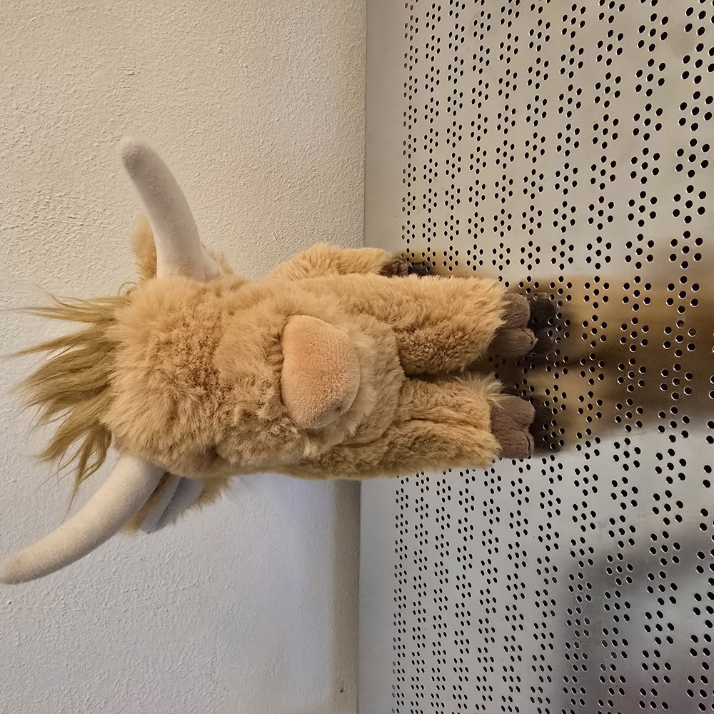 Plush Highland Cow Toy